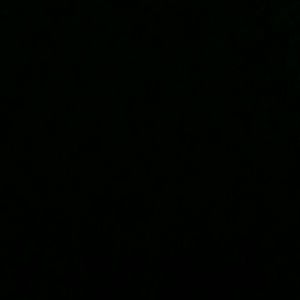 Meet your Posher, Lena